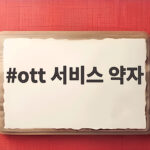 ott 서비스 약자