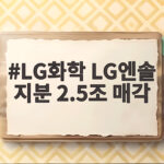 LG화학 LG엔솔 지분 2.5조 매각
