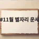 11월 별자리 운세
