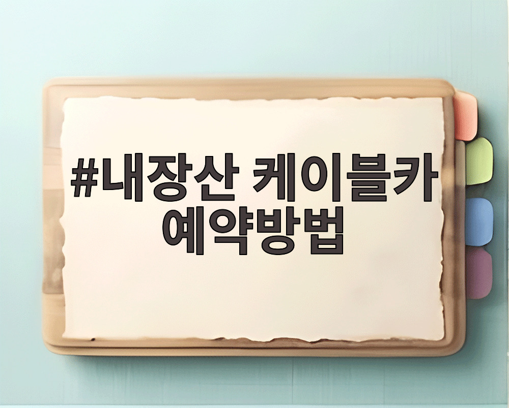 내장산 케이블카 예약방법