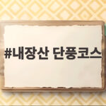 내장산 단풍코스 절정 시기와 우화정 단풍터널 산책 정보 추천 내장산 단풍코스