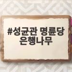 성균관 명륜당 은행나무