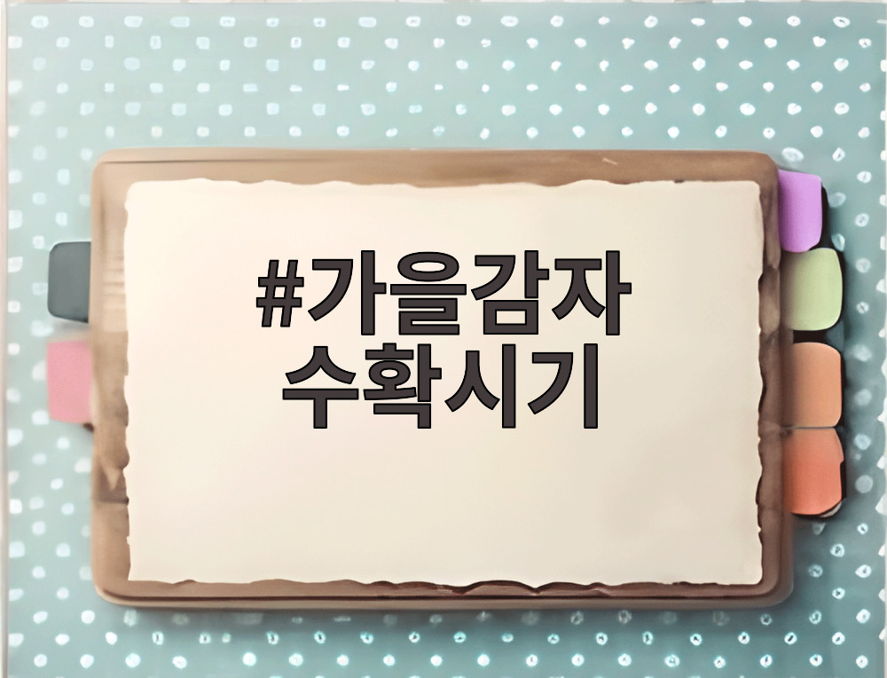 가을감자 수확시기
