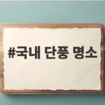 국내 단풍 명소