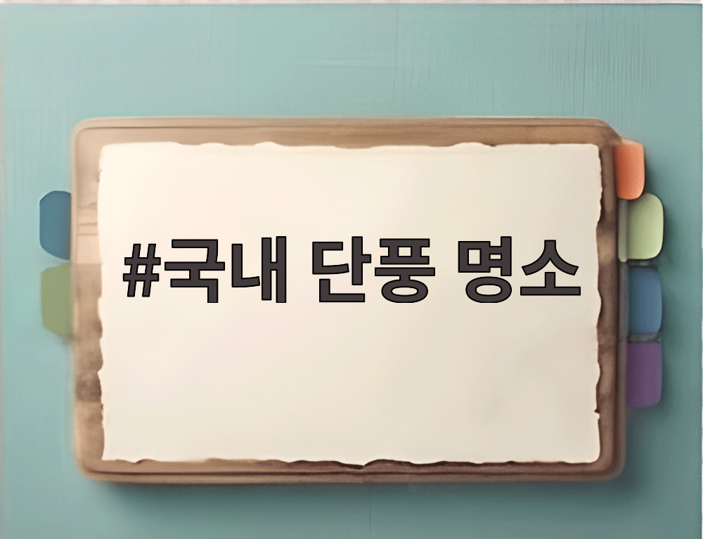 국내 단풍 명소