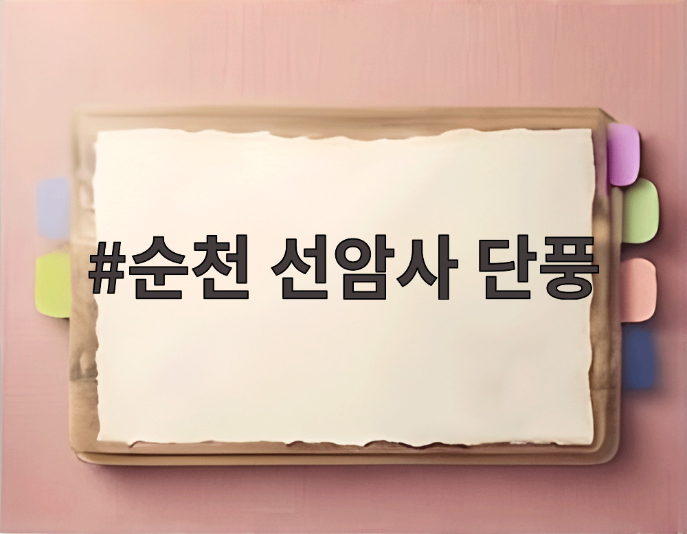 순천 선암사 단풍