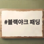 블랙야크 패딩