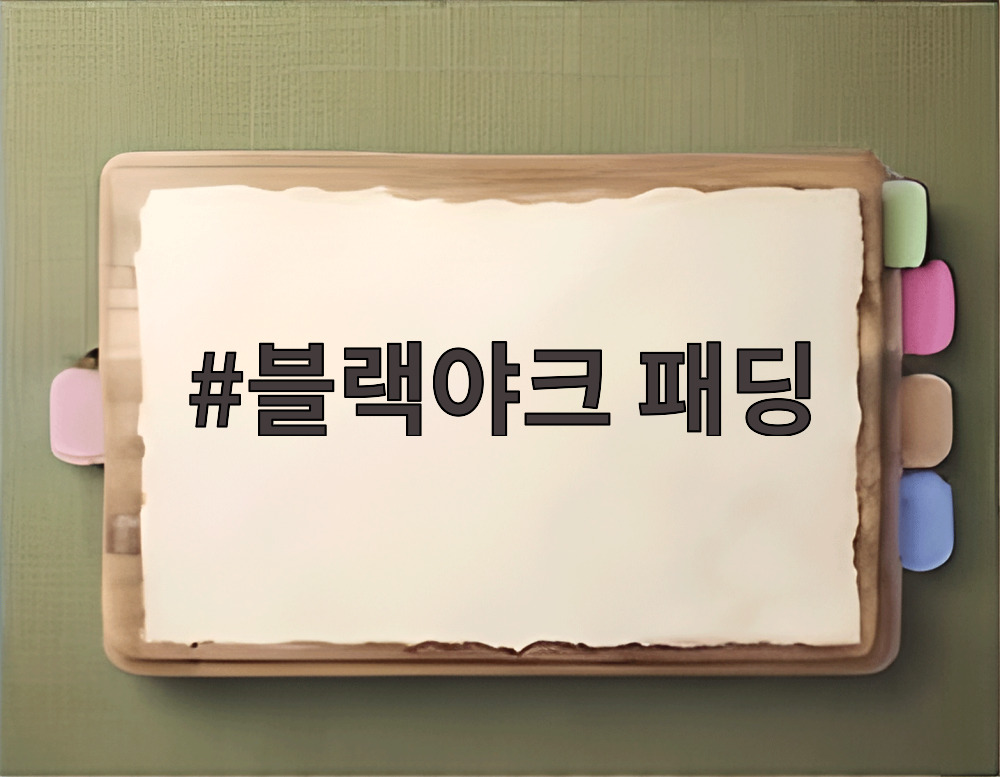 블랙야크 패딩