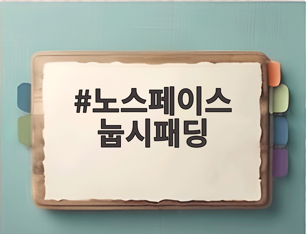 노스페이스 눕시패딩