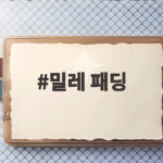 밀레 패딩 퍼텍스 시테 다운 직접 입어보니 겨울 내내 손이 갑니다 밀레 패딩