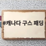 캐나다 구스 패딩 비싼 만큼 따뜻할까 한 시즌 입고 솔직 후기 캐나다 구스 패딩