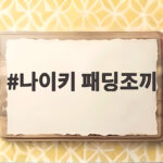 나이키 패딩조끼 가볍고 따뜻한 러닝과 데일리 활용법 나이키 패딩조끼