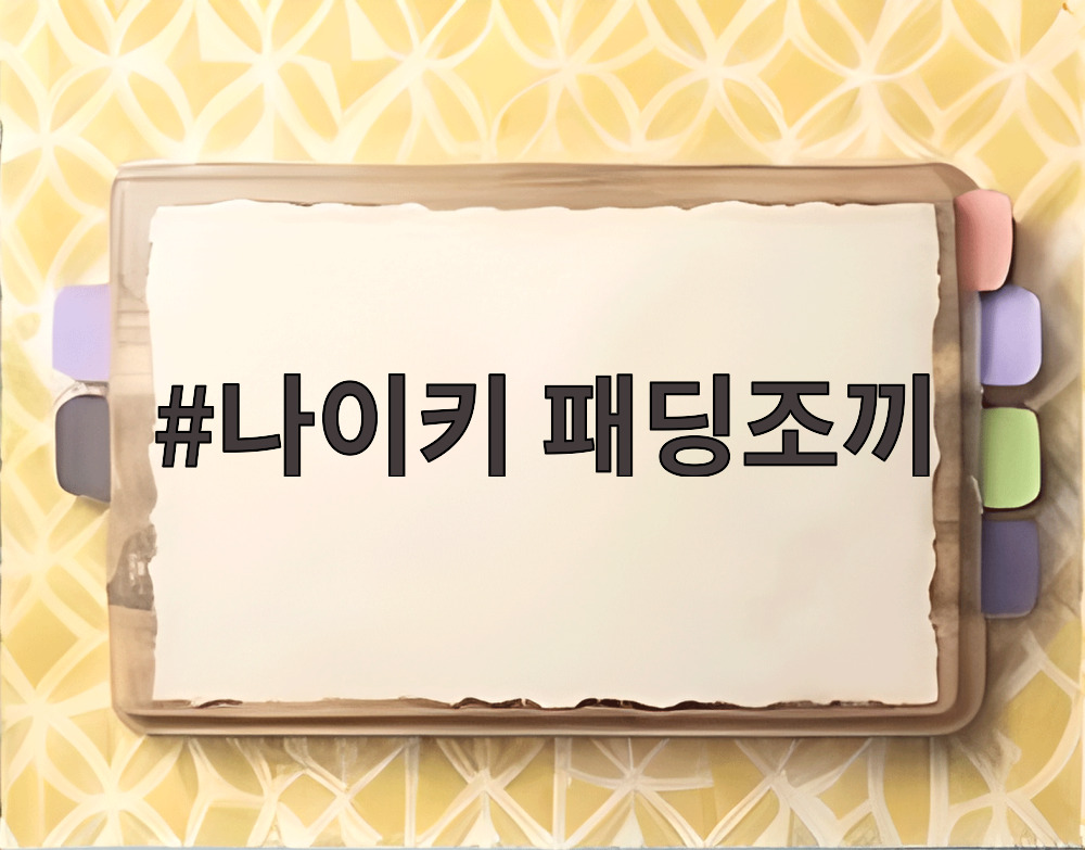나이키 패딩조끼