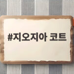 지오지아 코트 겨울 오피스룩 주우재 침착맨 화보로 고민 해결 지오지아 코트