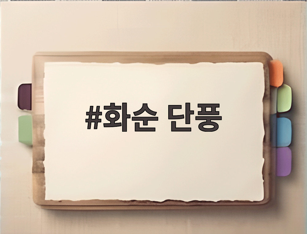 화순 단풍