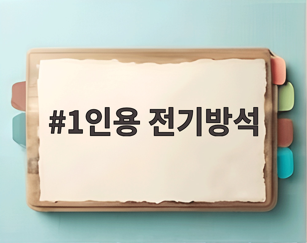1인용 전기방석