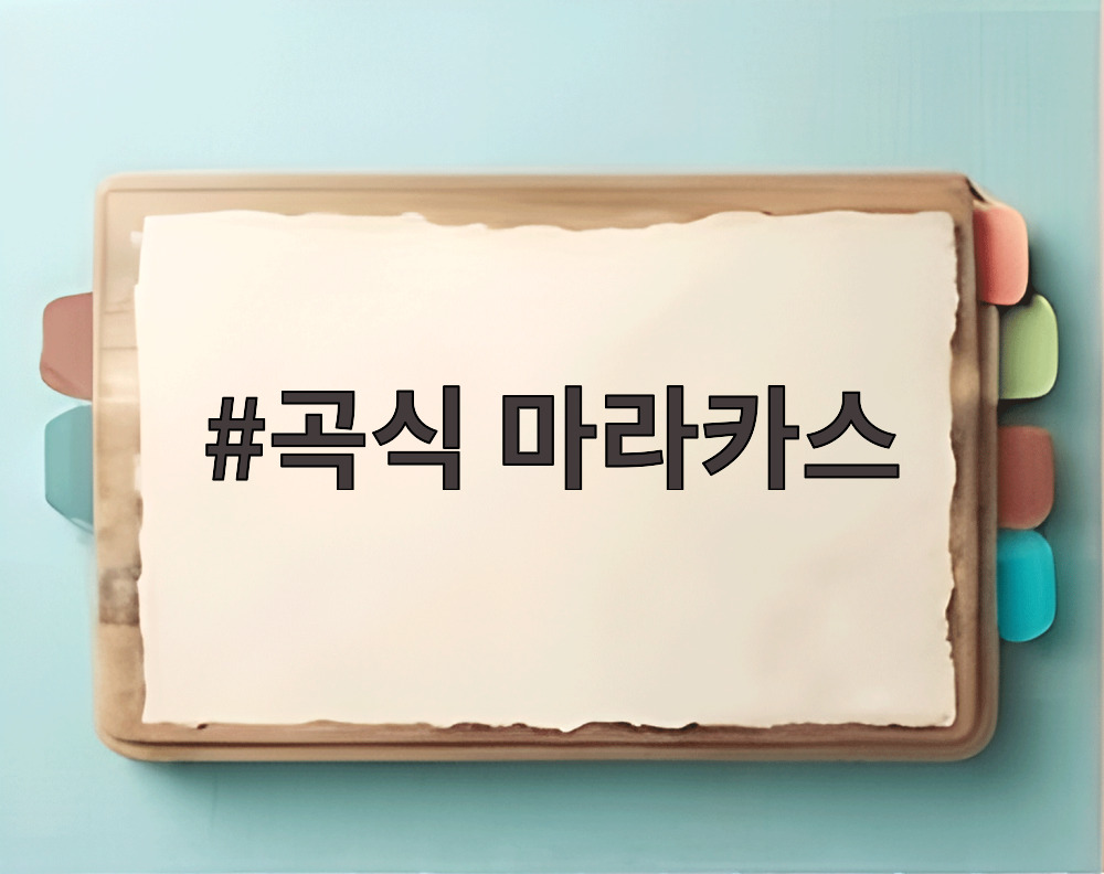 곡식 마라카스