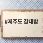 제주도 갈대밭