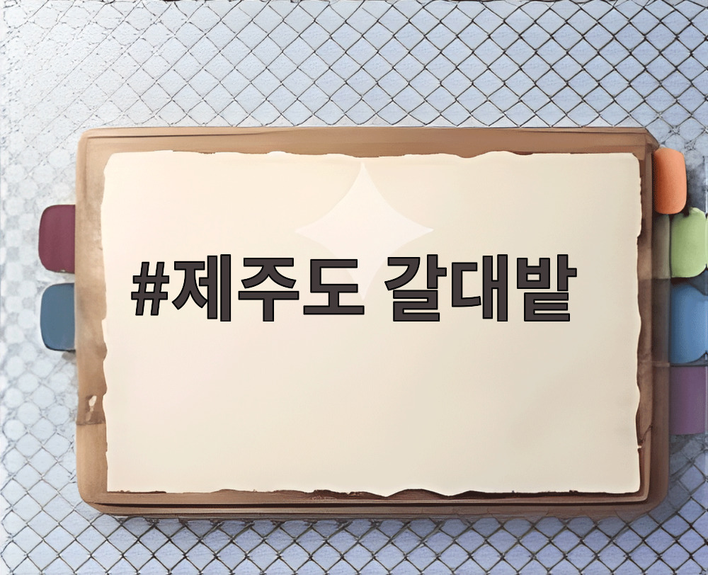제주도 갈대밭