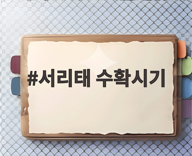 서리태 수확시기