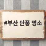 부산 단풍 명소