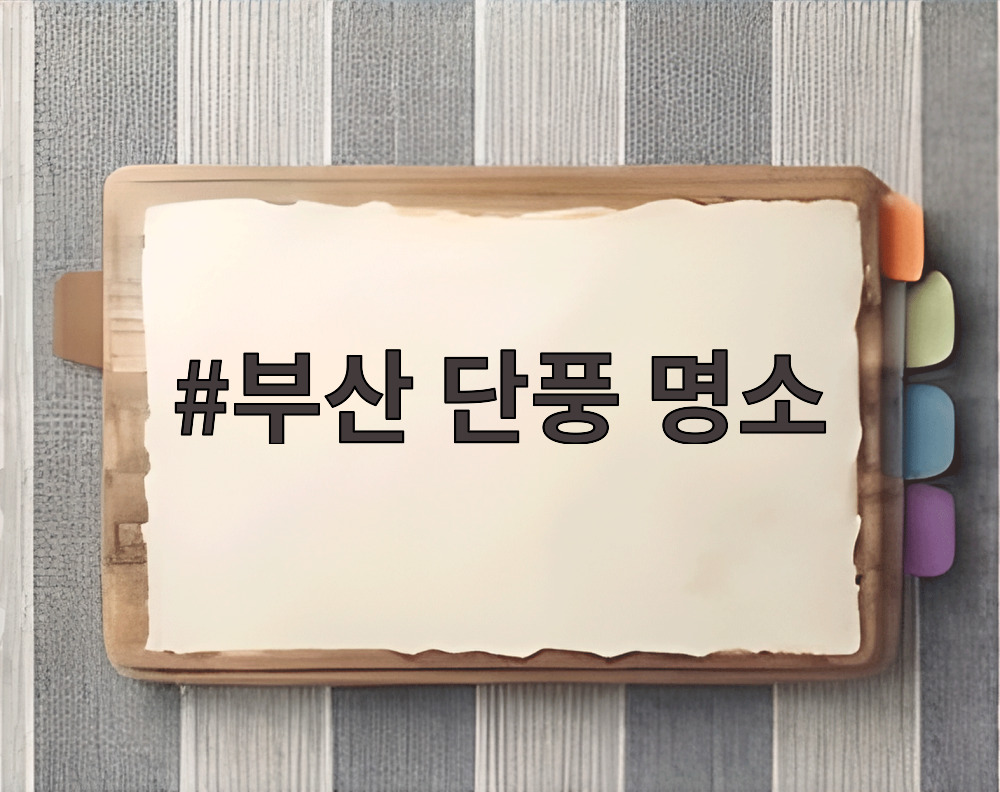 부산 단풍 명소